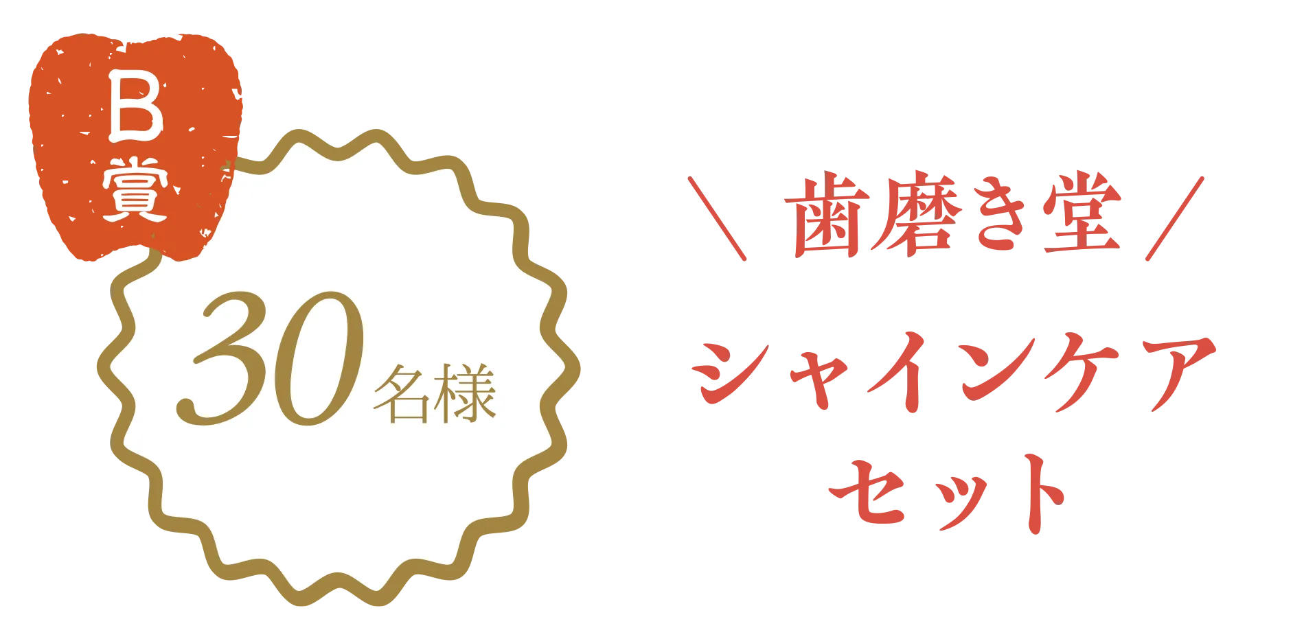 B賞30名様　歯磨き堂シャインケアセット