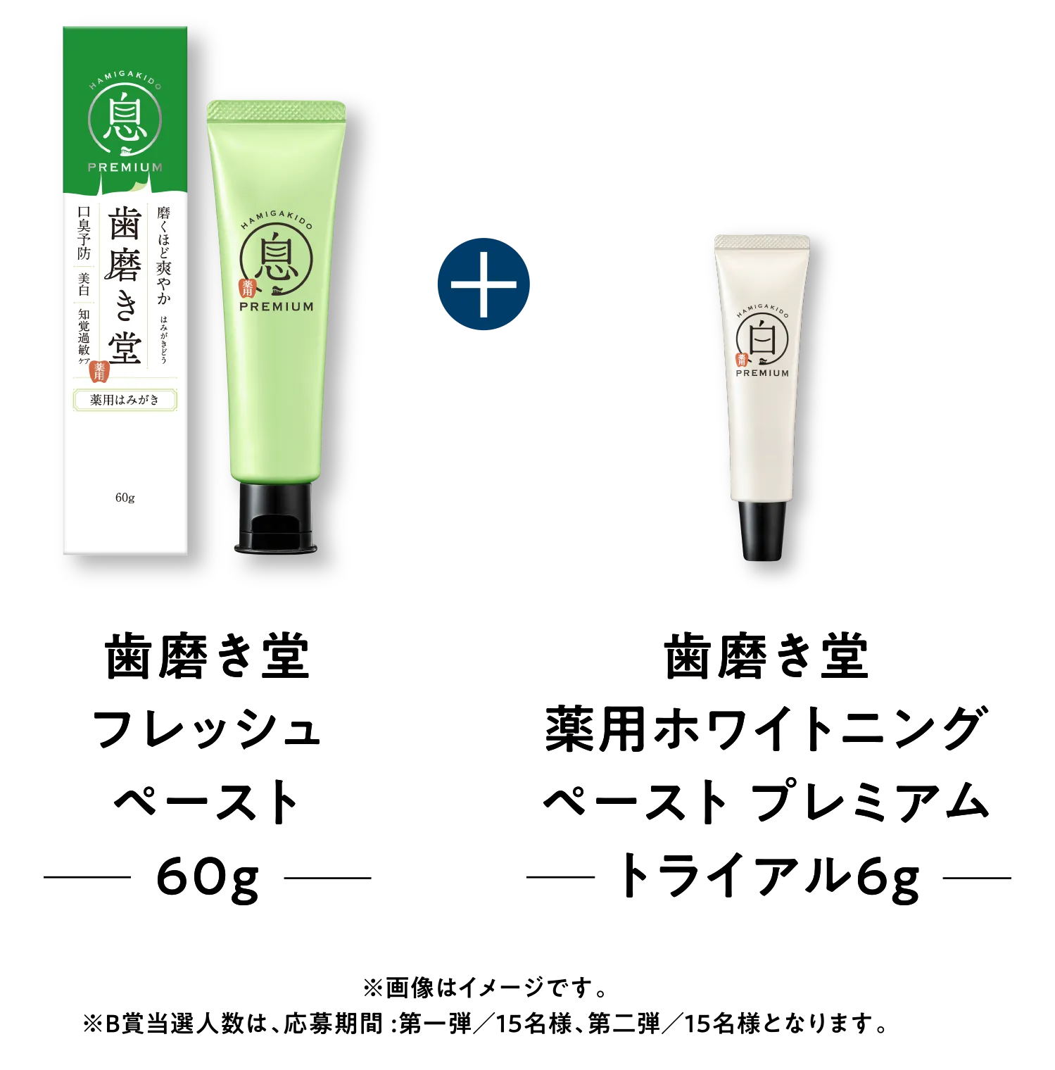 歯磨き堂フレッシュペースト60g＋歯磨き堂薬用ホワイトニングペーストプレミアムトライアル6g