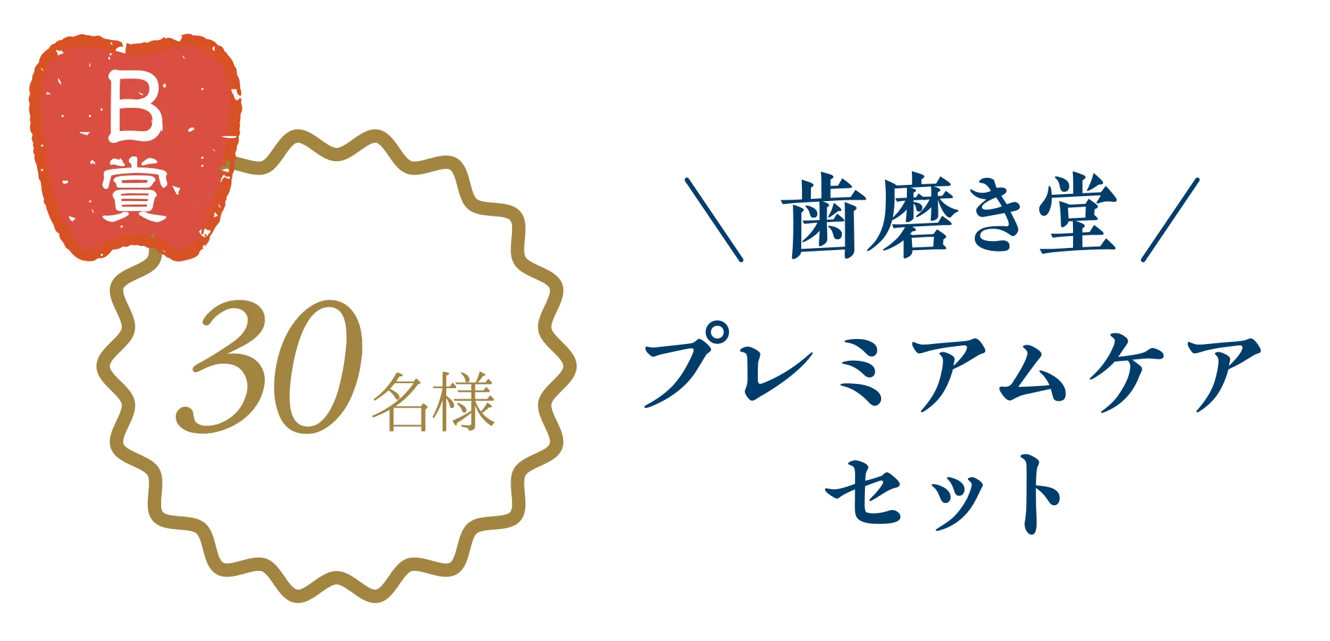 B賞30名様　歯磨き堂プレミアムケアセット